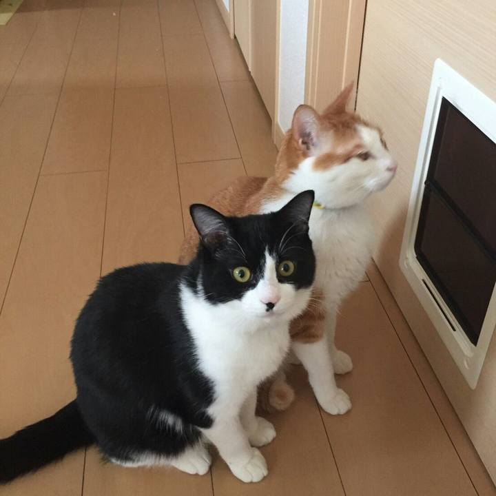 5fce0013 a9b1 47b3 ac75 9a232a7ead01