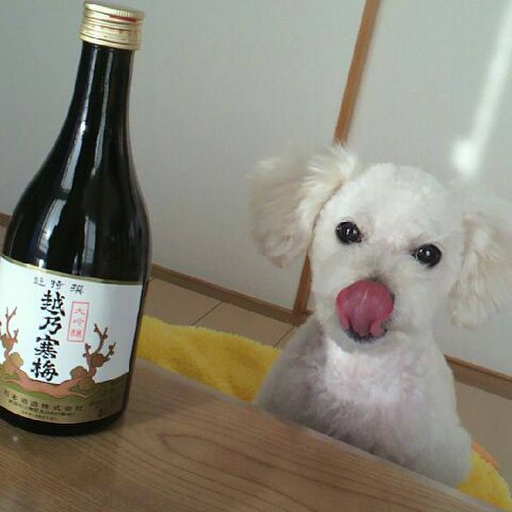 5fce623d 2957 45f8 b50b 77da6ae72fef