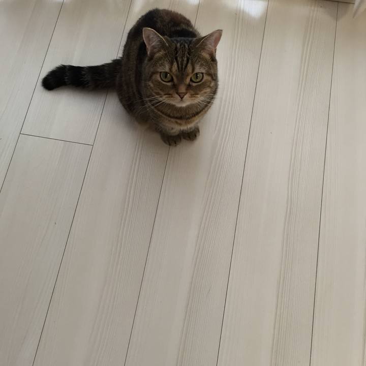 5fced13e 64a3 46b3 bdc0 d1e3bd067643