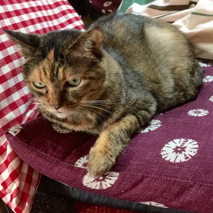 5fcf5268 3228 470a 87d2 2f3d91b6abdd