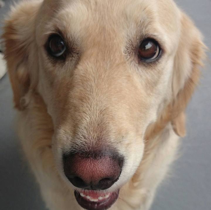 5fcf9b54 6094 4a2a b99e 1a8592d82bfe