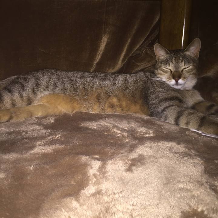 5fcfb916 1b1a 4db9 acf4 e66fc4e5bcfb