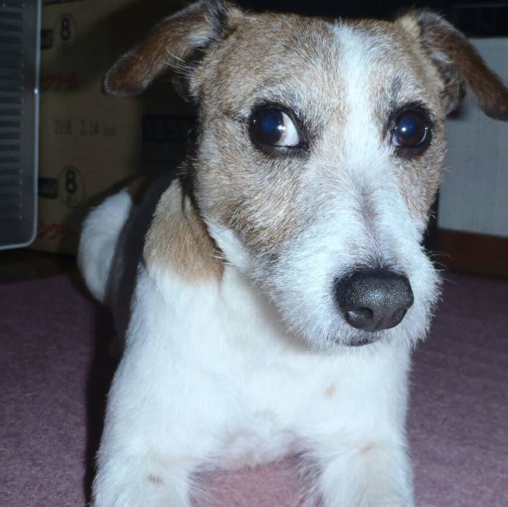 5fd01f53 fae0 4f13 ade2 d8b0390efc0c