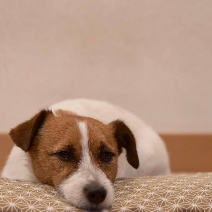 5fd089e7 e5ba 4c66 9fd2 b5318c1c6ae9