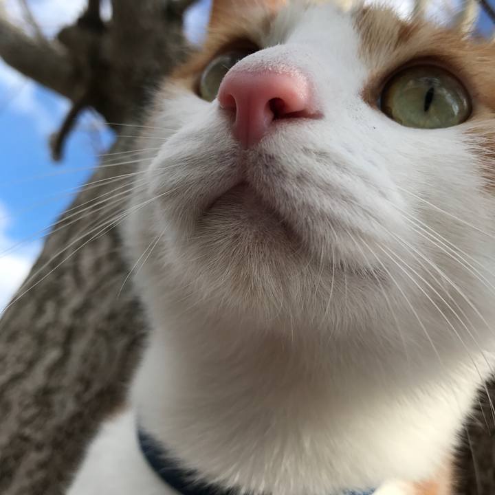 5fd0e7fd b54d 4920 afd8 36020b0843d1