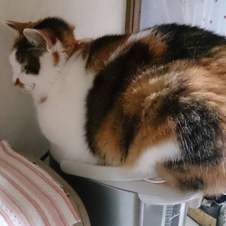 5fd13c49 4ff8 46fb 8719 98234f8efbac