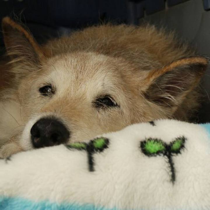 5fd13ec6 79a1 4f42 a77f be6100d938d3