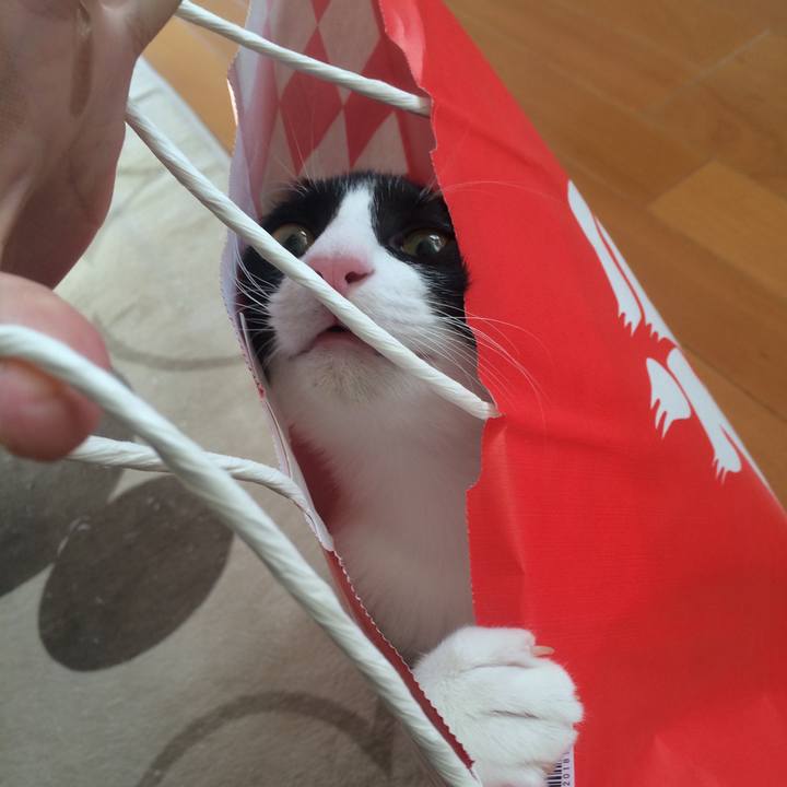 5fd17fbd b859 4e3d b8fa 2bddec91f60b