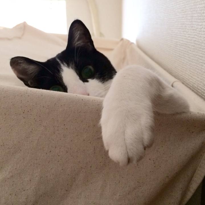 5fd1f746 713a 472c a075 b5208fa18bcd