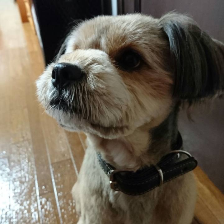 5fd3ef93 a2dd 4a3b b9b1 7d360b580c0b