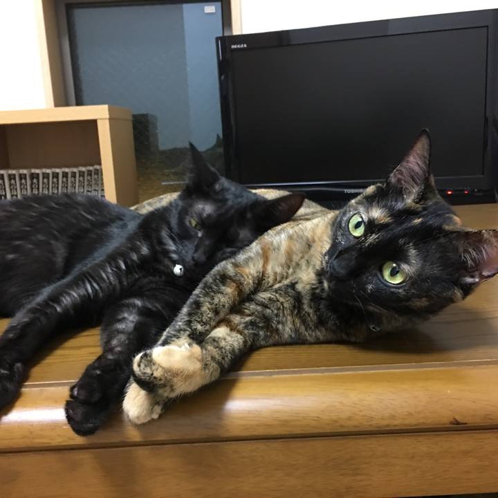 5fd40272 91fe 4091 810b 5d22fb48ff06