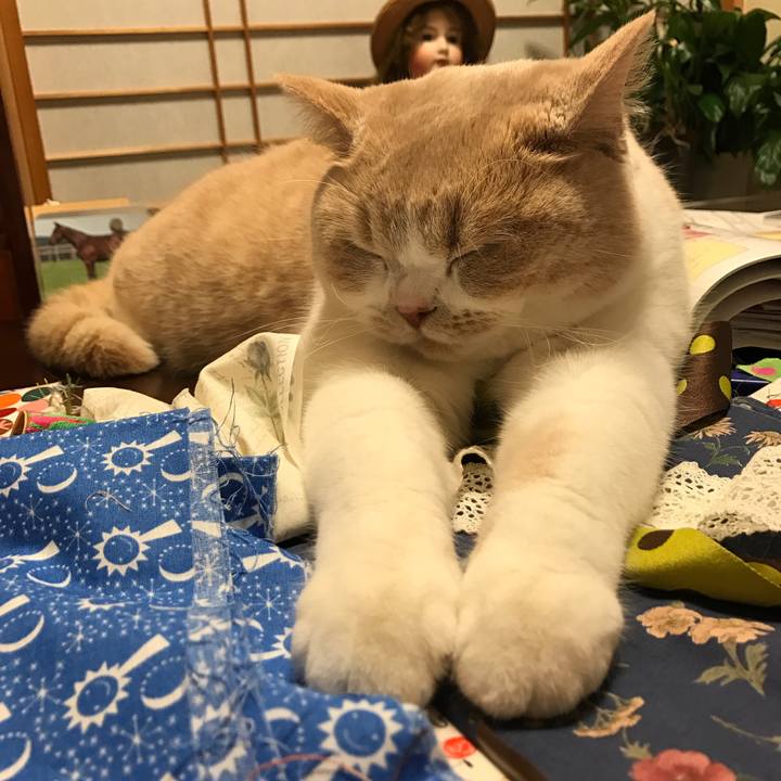 5fd41e30 4ac1 47c8 a0ff 5092705863f8