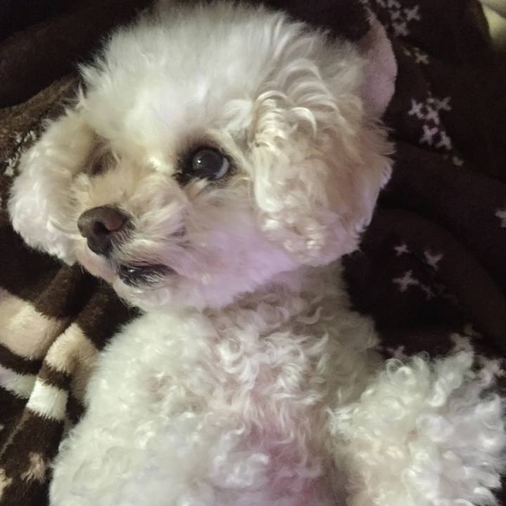 5fd464f1 93be 44f3 abc9 1589de2c6253