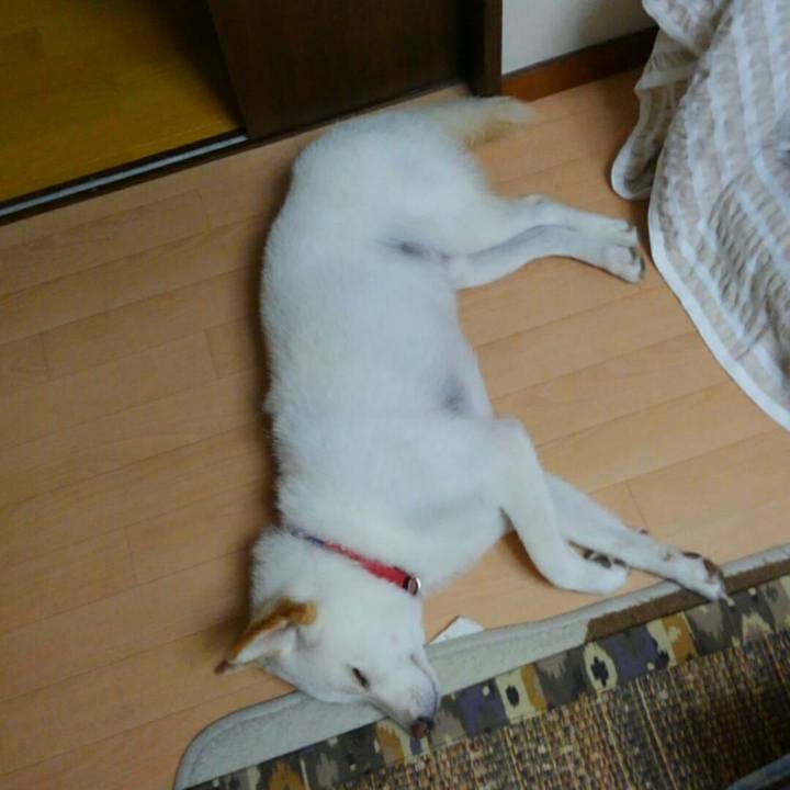 5fd56895 9d0e 4450 b8a2 54e393f259c5