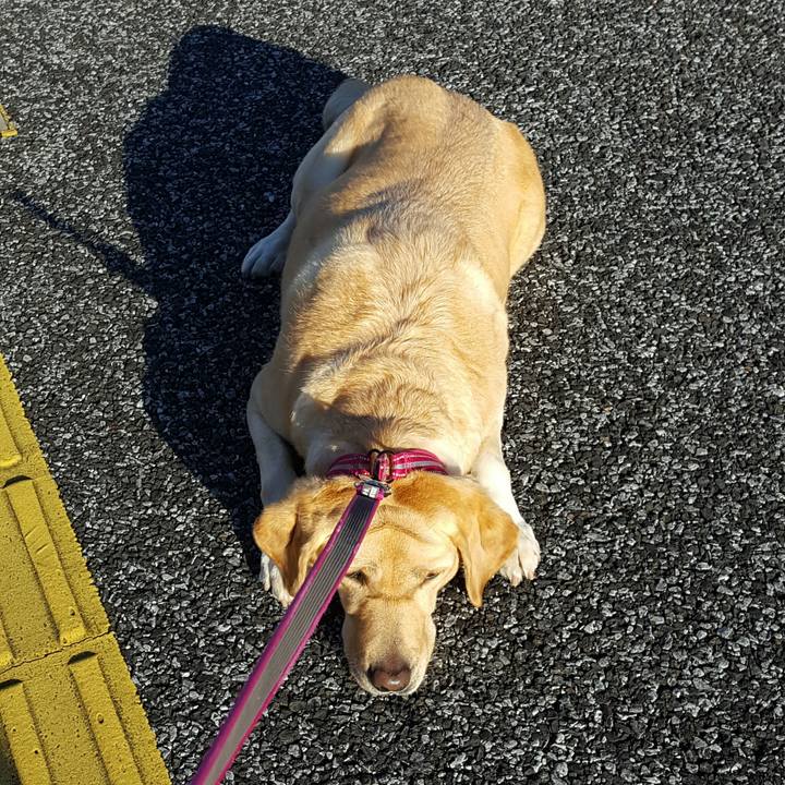 5fd58456 41de 4d39 868f 363dd02aa5ae