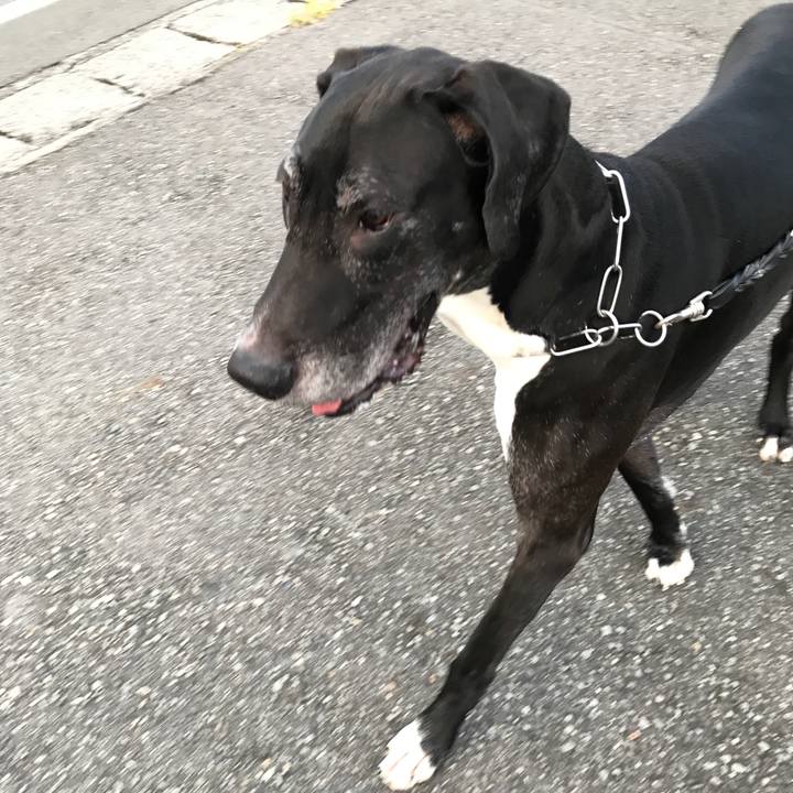 5fd5d4e1 3f6e 4560 ab78 116a0fba9501