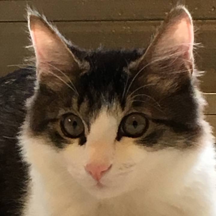 5fd5d941 31f3 4299 80fc 0b76807719b8