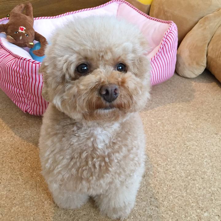 5fd63d27 bdeb 4dfc 9fd3 f6369e4da686