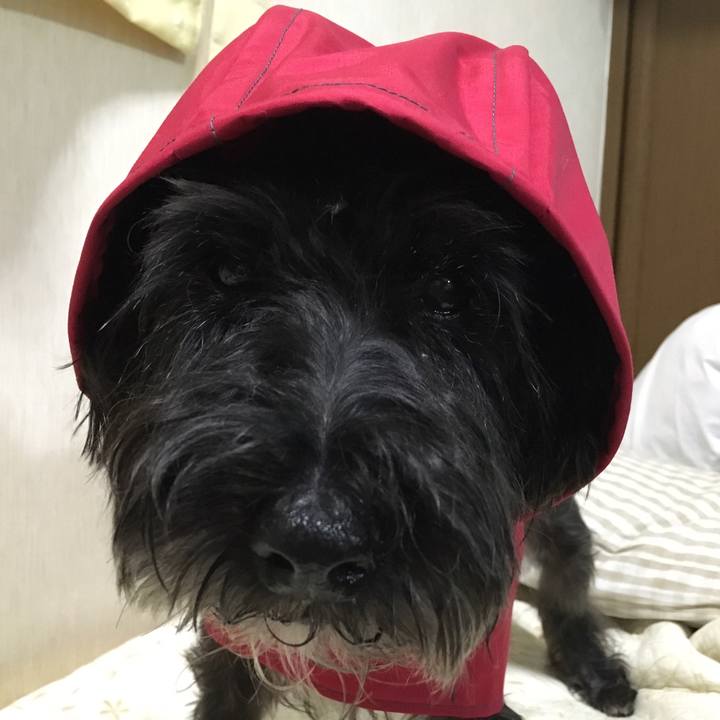 5fd75f9c 4b42 4694 898a 269e2786e0ba