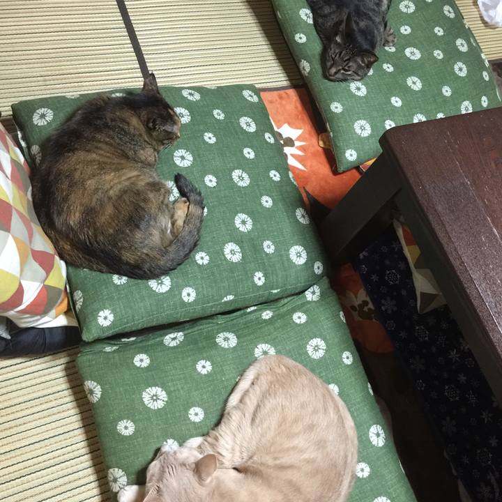 5fd77e1d 6404 475c ba86 237b63cfedfa