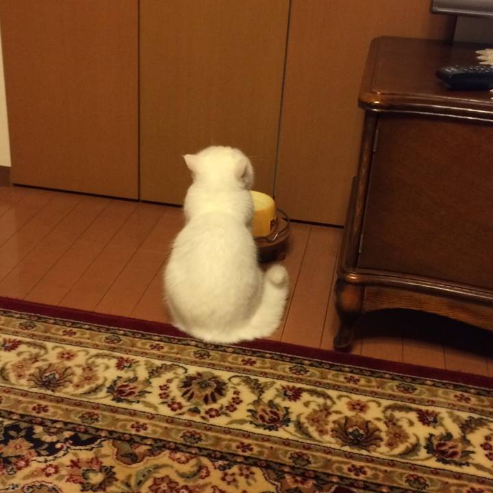 5fd86161 431b 4576 8a70 99a566722afb