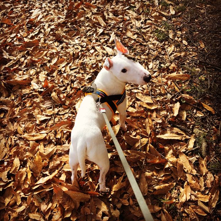 5fd8715b 5352 4fbd 868a 0ea84be4ee15