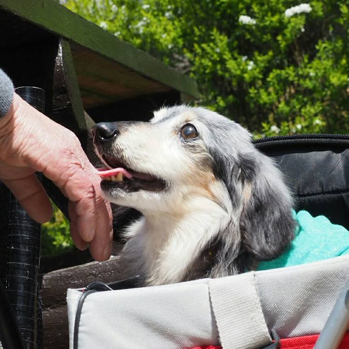 5fd8a830 054e 471f b38f 8b05b1aa35e2