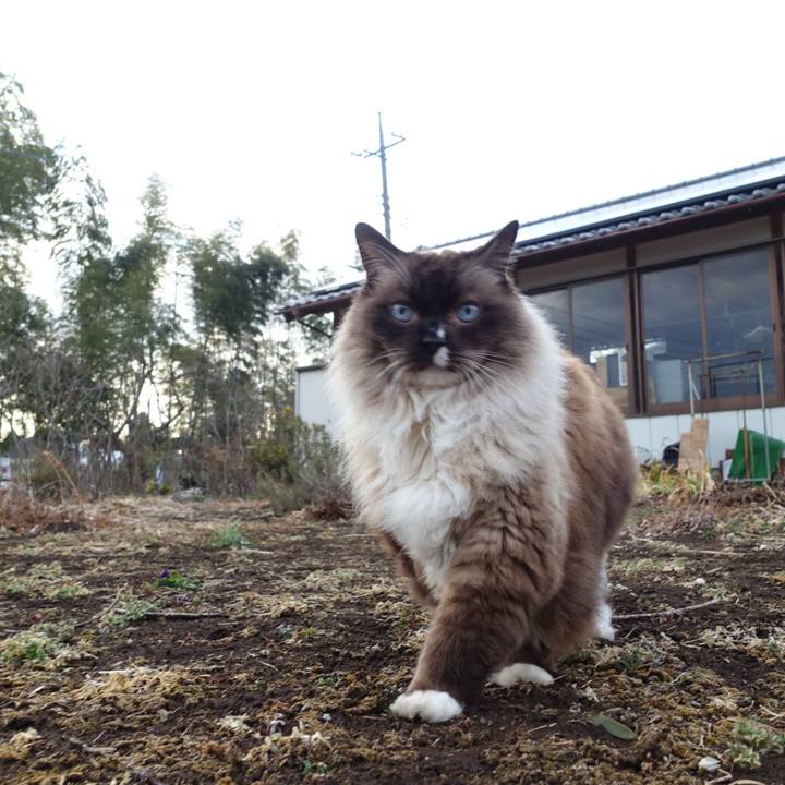 5fd8b44d 4550 422b 8c99 bdfb2d1291f2