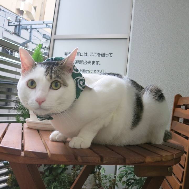 5fd8bed4 c2be 418b a99a 8647df1750c3