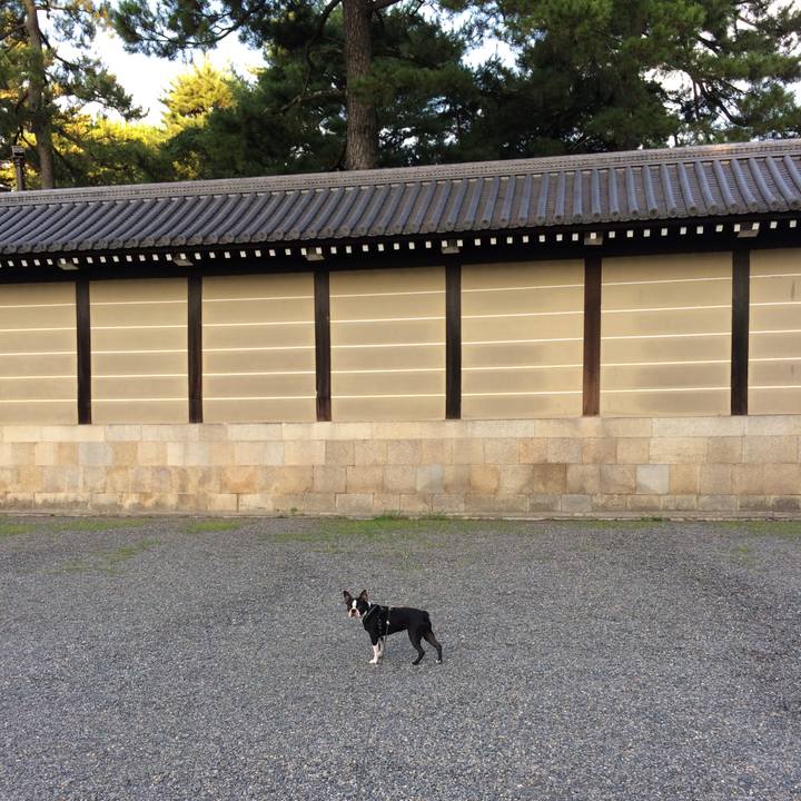 5fd9ea93 b97e 482e 82db 49bced84f122