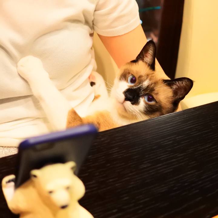 5fda1c1b 8aa9 4dec b672 4143a33b0a45