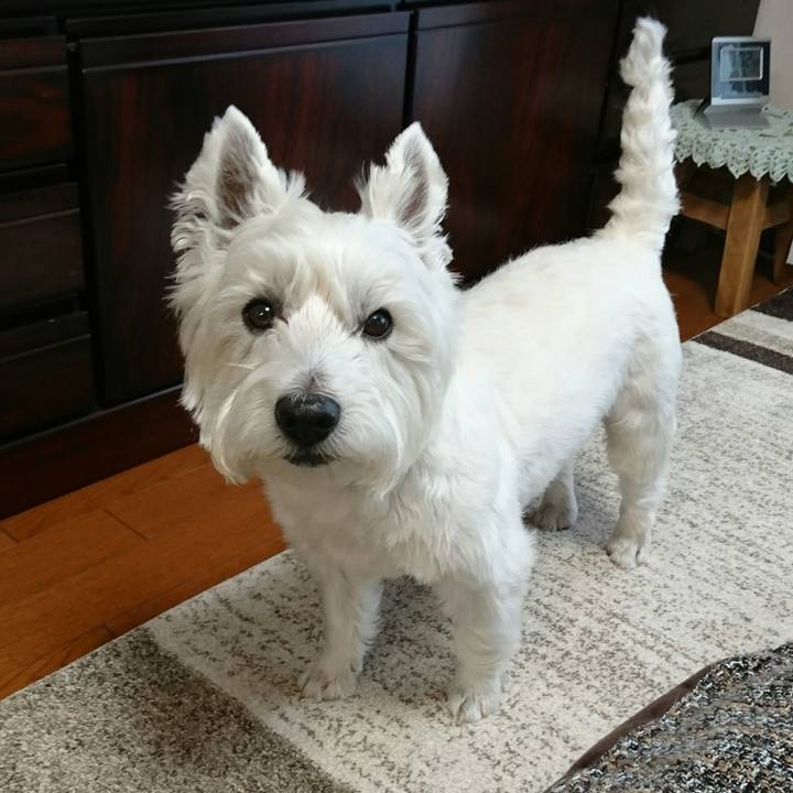 5fda478b d12d 470d 8a09 6ec65c319453