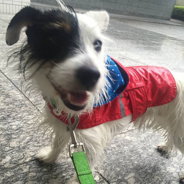 5fda9196 b655 4b6c 871f a8e4001f88ab