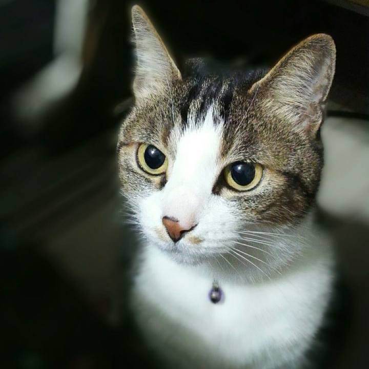 5fdb6b4c 8f79 41f0 aa5a 1900246300b0