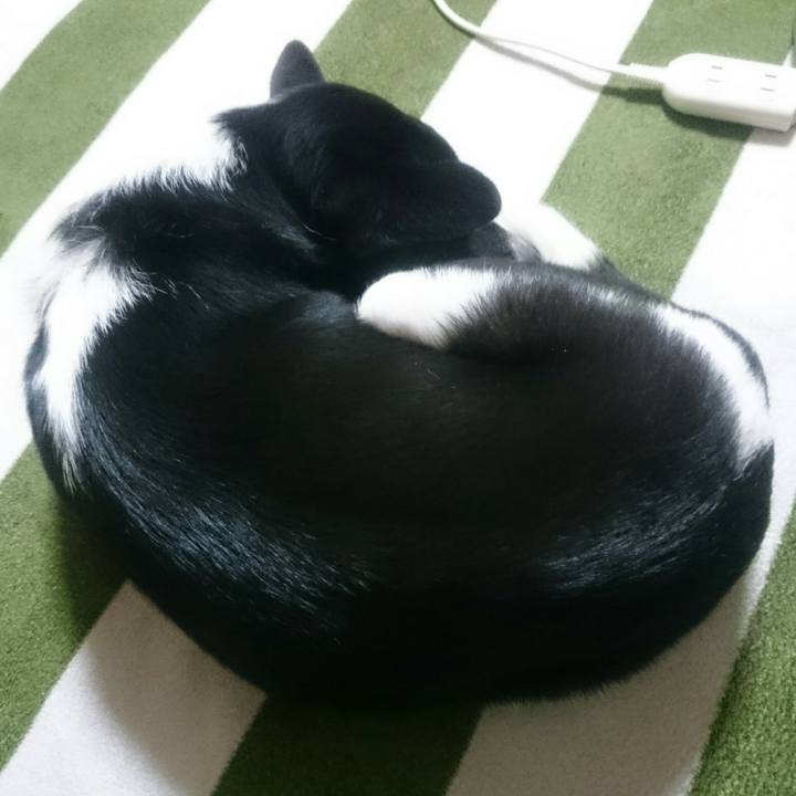 5fdb8a20 0c39 4f7b b686 ea3d666d304d