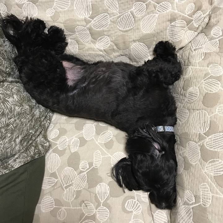 5fdb9a99 4c15 4ed1 b8c0 c93b83a1f918