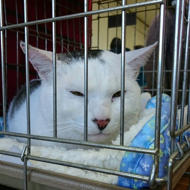 5fdbaa90 6f2f 48b1 bee9 0108b29725ab