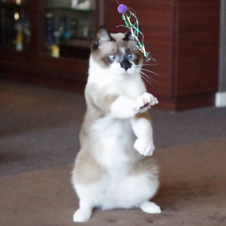 5fdbbc33 7cdf 41d9 a1a5 8c731b43c2e8