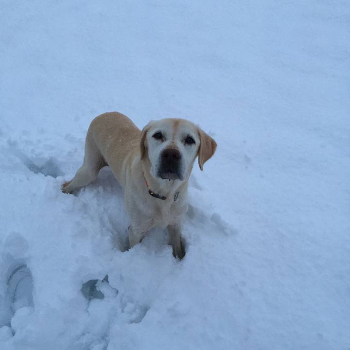 5fdbe62e 4d5b 4162 98c7 d2f0c83a5c62