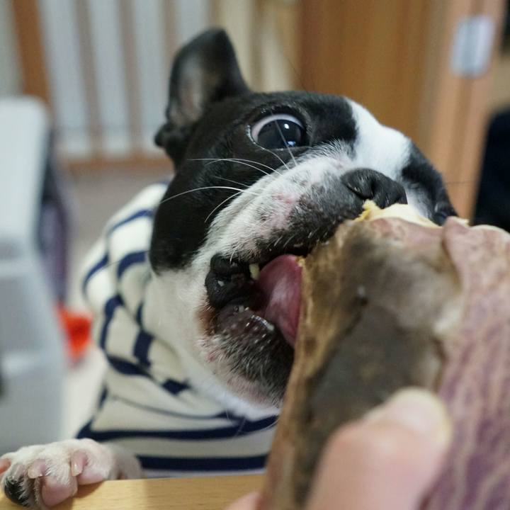 5fdc0d47 59ea 48cf 9097 aa20ea6cd6bd