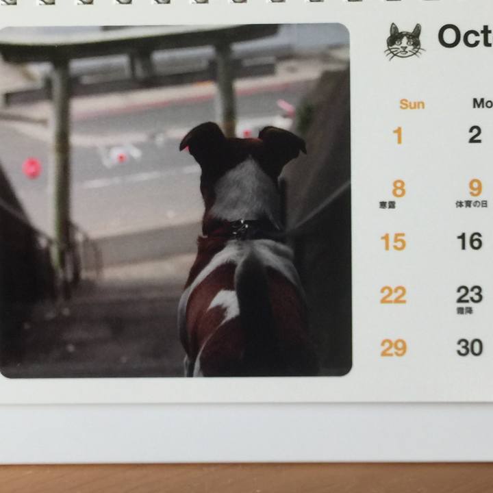 5fdc3abd 0571 4973 b141 b36ff3b6b999