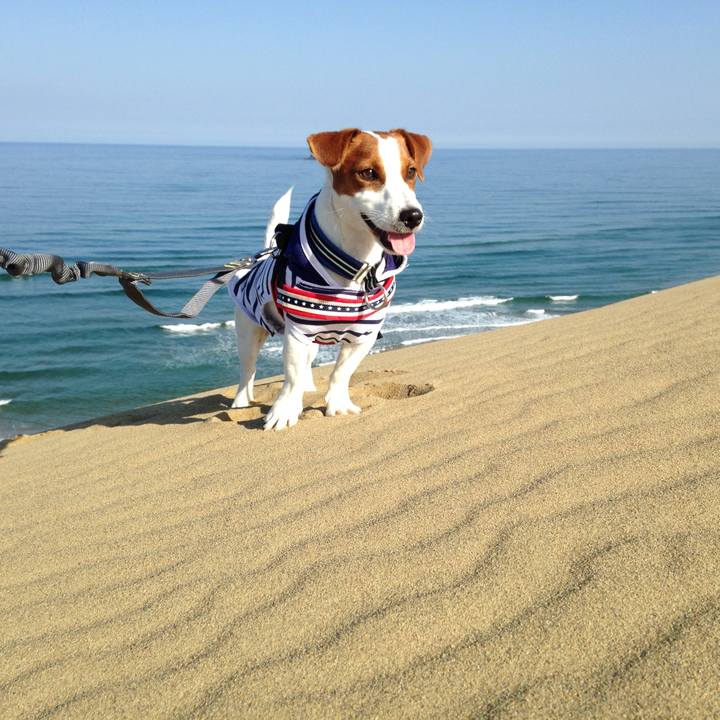 5fdce551 5111 43d7 853a f38e0558132d