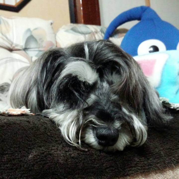 5fdd8589 0b21 44f2 8de5 f15b11cef45e