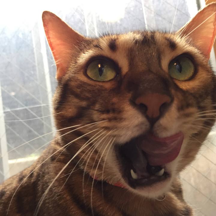 5fddb3f5 5bc9 4590 b60f 731c7e3c9b13