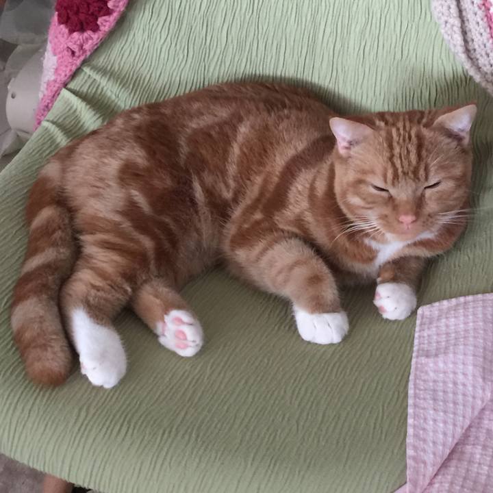 5fddbadc ee14 4293 ae5a 08951f6fe5b8