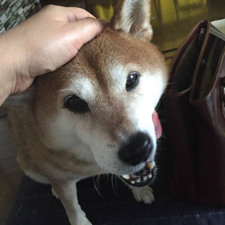 5fddfa6c 127a 48f6 9188 a8644d7dee87