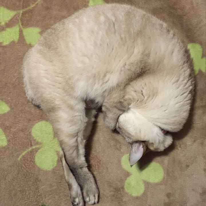 5fddff0a ce2e 4506 ba1a 16b5a4bfa7c8