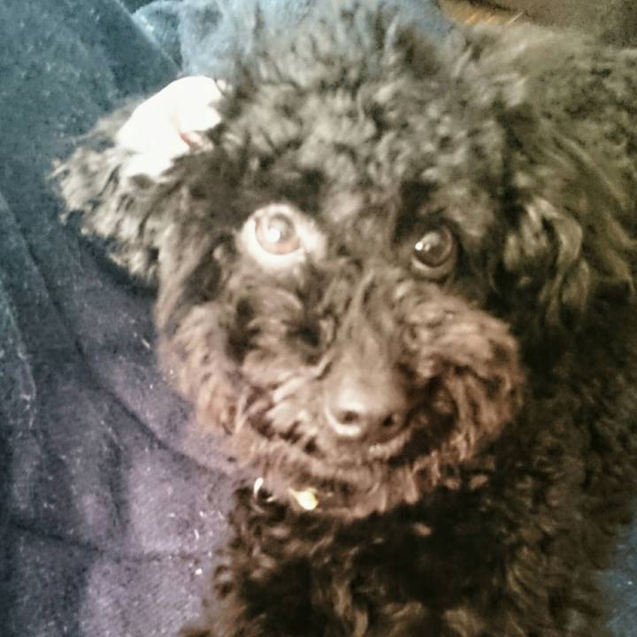 5fde8c73 605f 4f6d b0cd 901c0b01c874