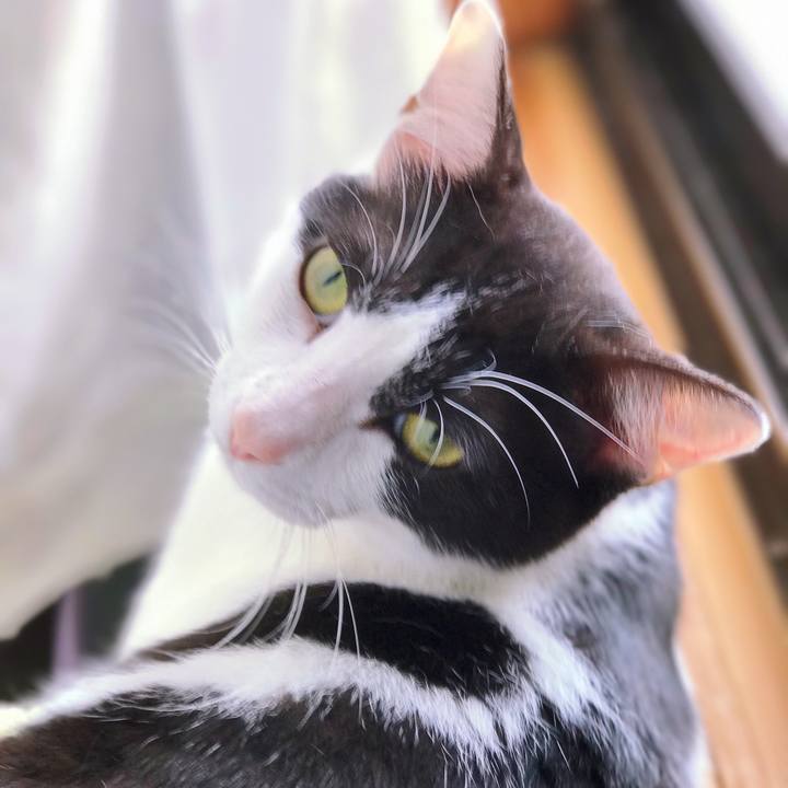 5fdec68a 6a0e 4e02 bc6b dc3d11c17a8c