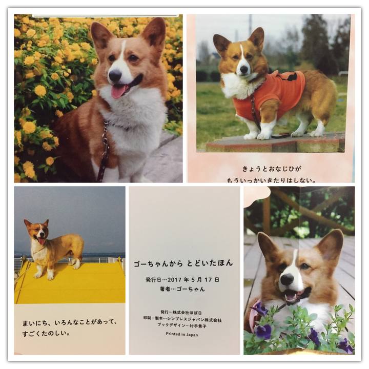 5fdf196e 11f8 41cf 98ca 789fbbb68052